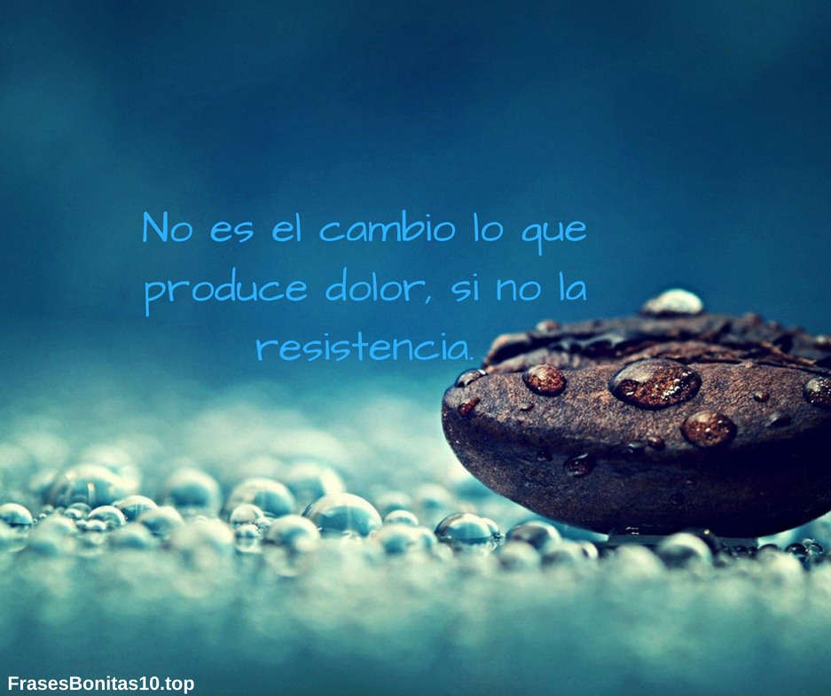 Frases bonitas cortas