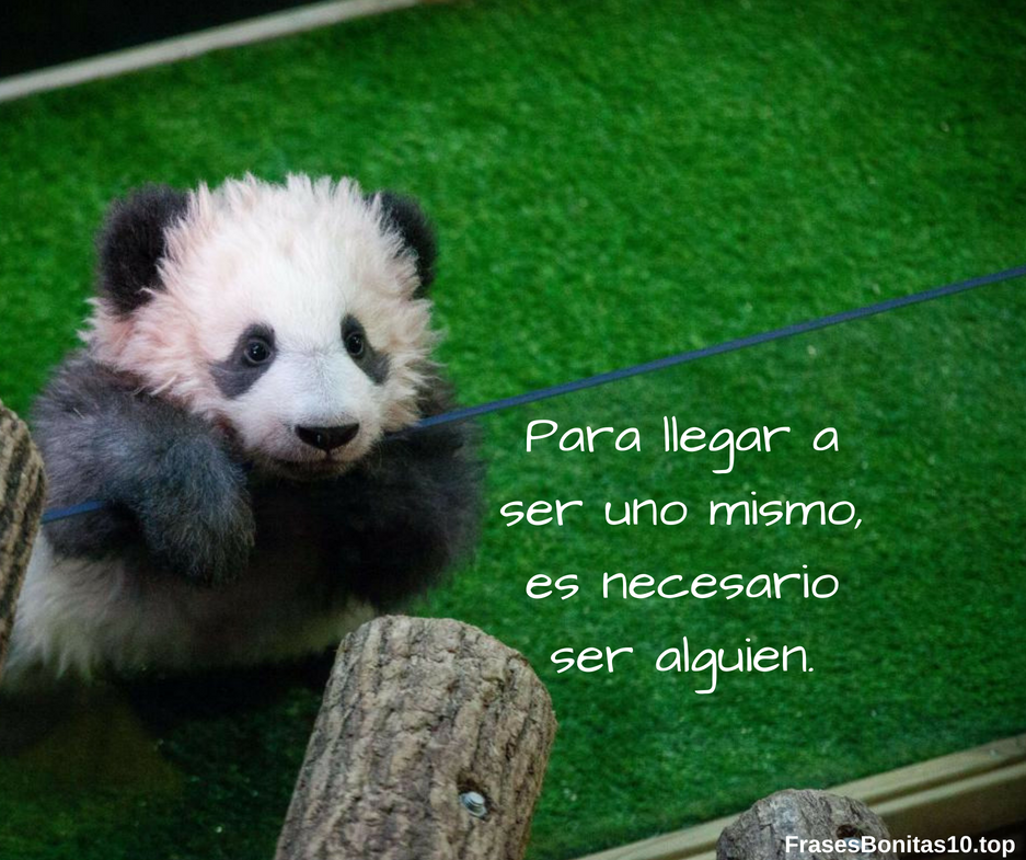Frases bonitas de amistad