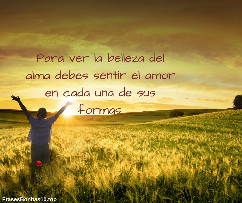 Frases bonitas de amor