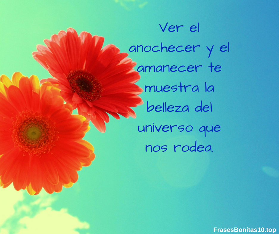 Frases bonitas de la vida
